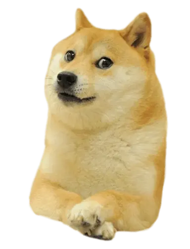 Doge